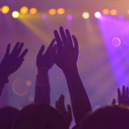 Silhouettes of a lively audience with raised hands at an energetic nightclub event.